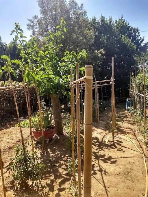Appartamento In Casa Pilar Con Piscina Capannori