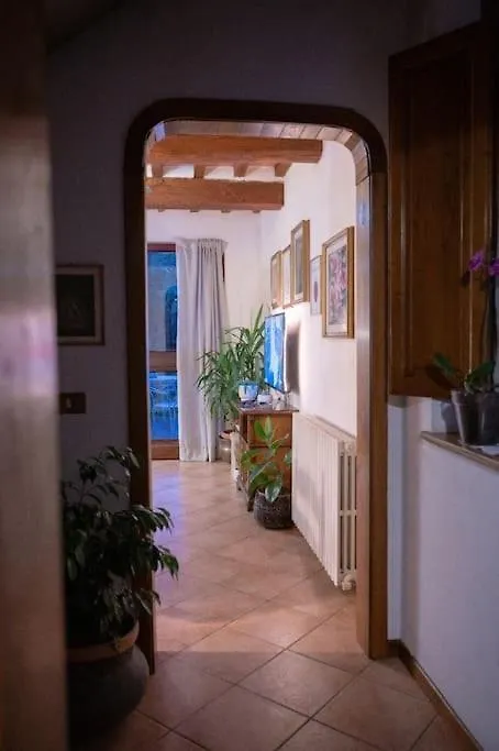 Apartment Appartamento In Casa Pilar Con Piscina Capannori